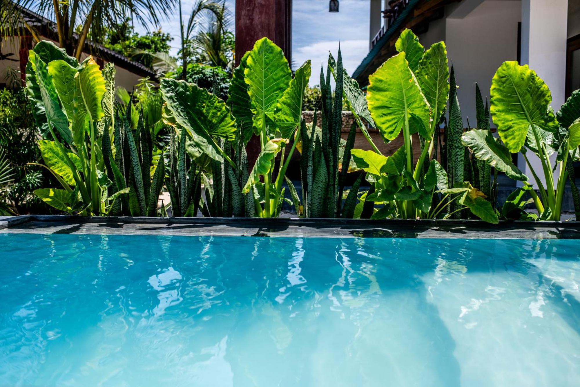Baobab Bungalows Jambiani  Extérieur photo