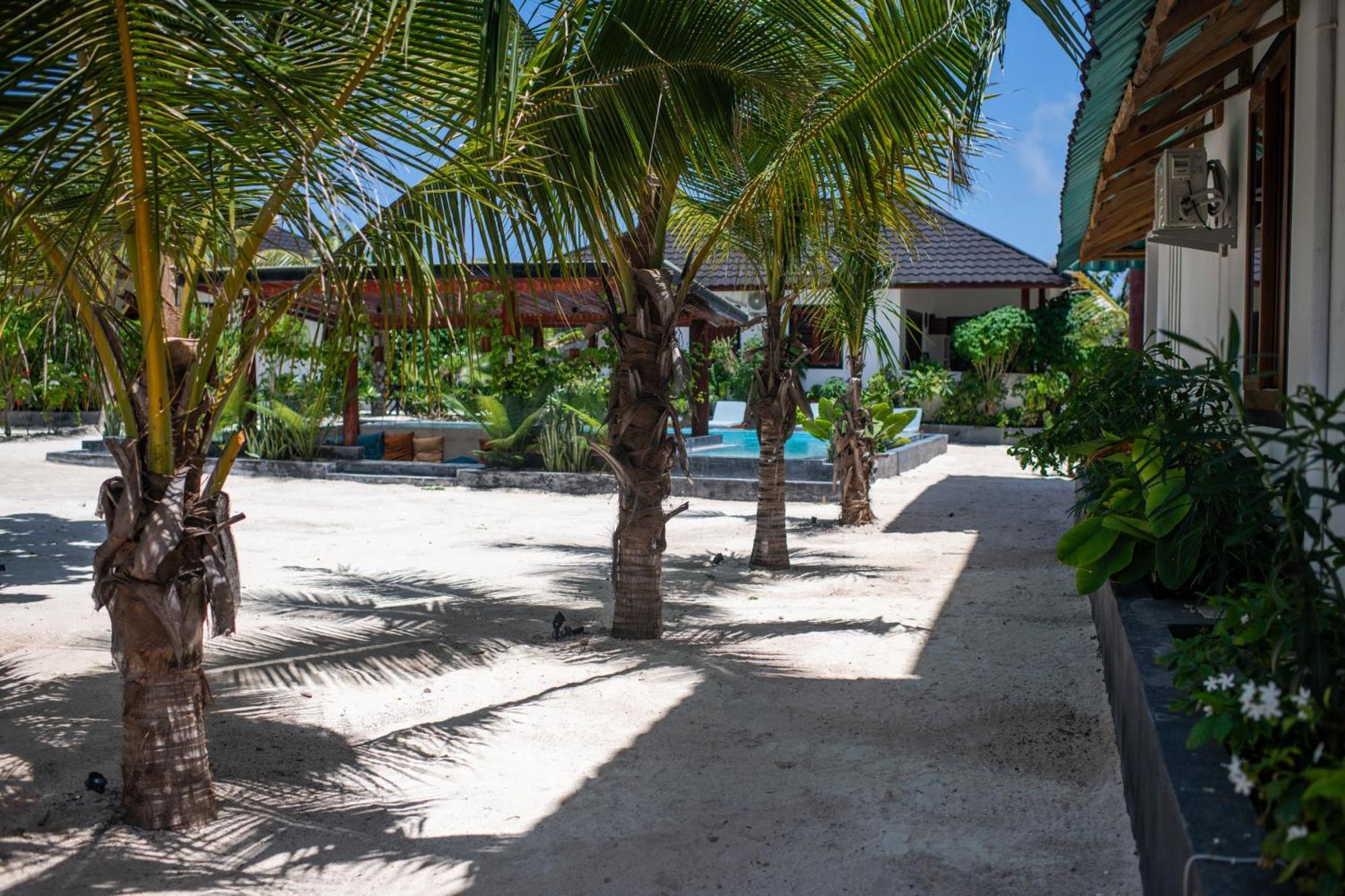 Baobab Bungalows Jambiani  Extérieur photo