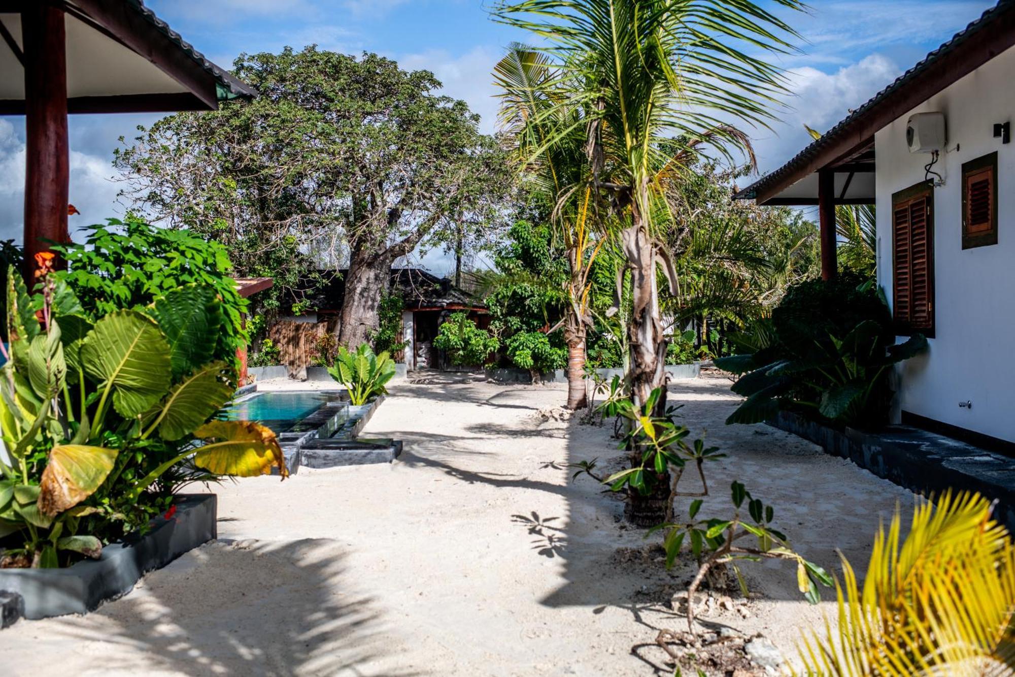 Baobab Bungalows Jambiani  Extérieur photo