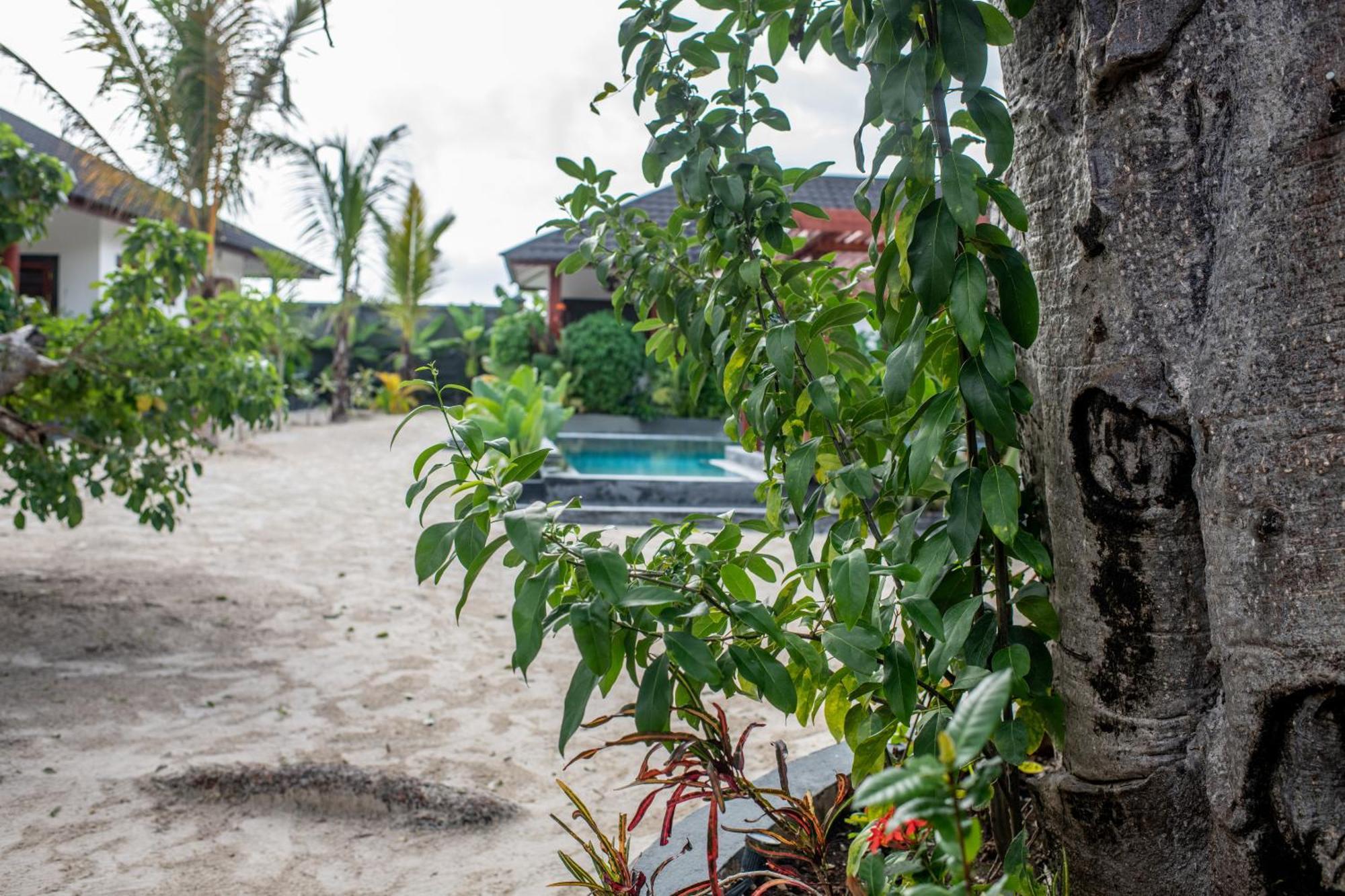 Baobab Bungalows Jambiani  Extérieur photo