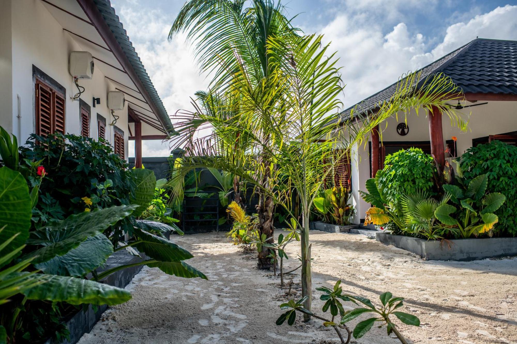 Baobab Bungalows Jambiani  Extérieur photo